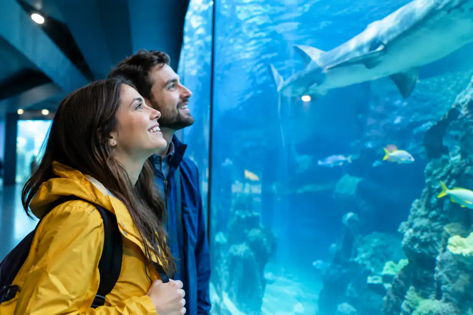 12 Orlando Rainy Day Attractions Worth Your Time